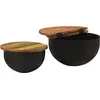 Image de vidaXL Ensemble de 2 tables basses Noir Vieux bois massif