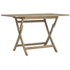 Image de vidaXL Table de jardin pliante Gris 120x70x75 cm Bois massif Teck