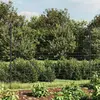 Image de vidaXL Clôture grillagée Anthracite 2,2x25 m Acier galvanisé