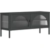 Image de vidaXL Armoire TV noire 105x35x50 cm verre et acier