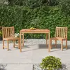 Image de vidaXL Ensemble de jardin 3 pièces en teck massif