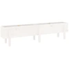 Image de vidaXL Lit surélevé blanc 160x30x38 cm pin massif