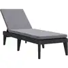 Image de Bain de soleil avec support Anthracite 186x60x29 cm PP
