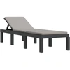 Image de vidaXL Bain de soleil avec coussin Anthracite PP
