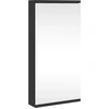 Image de vidaXL Armoire d'angle à miroir noir 30x24x60 cm