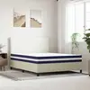 Image de vidaXL Matelas à ressorts ensachés, fermeté moyenne 160x200 cm
