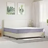 Image de vidaXL Matelas Mousse moyennement souple 200x200 cm