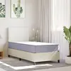 Image de vidaXL Matelas Mousse moyennement souple 70x200 cm