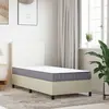 Image de vidaXL Matelas Mousse moyennement souple 90x190 cm