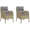 Image de vidaXL Chaises de jardin avec coussins 2 pcs. Mélange de beige Poly Rattan