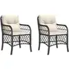 Image de vidaXL Chaises de jardin avec coussins 2 pcs. noir poly rotin