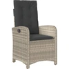 Image de vidaXL Fauteuil de jardin avec coussin Réglable Gris clair Poly rotin