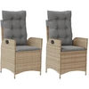 Image de vidaXL Fauteuil de jardin Coussin 2pcs Réglable Mélange de beige Poly rotin
