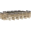 Image de vidaXL Ensemble de jardin 15 pièces avec coussins Mélange beige Poly rotin