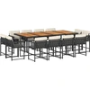 Image de vidaXL Ensemble de jardin 13 pièces avec coussins Noir Poly Rattan
