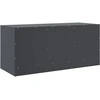 Image de vidaXL Armoire TV anthracite 99x39x44 cm Acier
