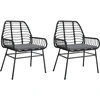 Image de vidaXL Chaises de jardin 2 pcs. avec coussins noir Poly rotin