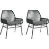 Image de vidaXL Chaises de jardin 2 pcs. avec coussins noir Poly rotin