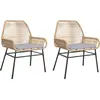 Image de vidaXL Chaises de jardin 2 pcs. avec coussins Marron Poly Rattan