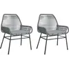 Image de vidaXL Chaises de jardin 2 pcs. avec coussins Gris Poly Rattan