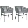 Image de vidaXL Chaises de jardin 2 pcs. avec coussins Gris Poly Rattan
