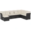 Image de vidaXL Ensemble de jardin canapé 8 pièces avec coussins noir poly rotin