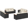 Image de vidaXL Ensemble de 12 canapés de jardin avec coussins noir poly rotin