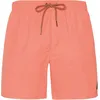 Image de Short de natation Protest Faster Hommes