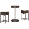 Image de vidaXL Ensemble bar de jardin 3 pièces avec coussins Marron Poly rotin