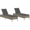 Image de vidaXL Bains de soleil avec coussins 2 pcs. Gris Poly Rattan