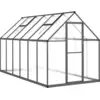 Image de vidaXL Serre avec cadre de fondation Anthracite 334x169x195 cm Alu