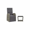 Image de vidaXL Ensemble de jardin 2 pièces avec coussins Gris Poly rotin
