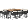 Image de vidaXL Ensemble de jardin 11 pièces avec coussins Noir Poly Rattan