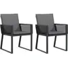 Image de vidaXL Chaises de jardin avec coussins 2 pcs. noir poly rotin