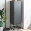 Image de vidaXL Highboard Anthracite 36x39x123 cm Acier