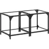 Image de vidaXL Tables basses avec plateau en verre 2 pcs. Transparent 40x40x40 cm Acier