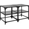 Image de vidaXL Tables basses avec plateaux en verre 2 pcs. noir 40x40x45 cm acier
