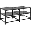 Image de vidaXL Tables basses avec plateaux en verre 2 pcs. noir 50x50x45 cm acier