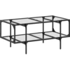 Image de vidaXL Table basse avec plateau en verre Transparent 98,5x50x45 cm Acier