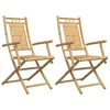 Image de vidaXL Chaises de jardin 2 pcs. Pliable 53x66x99 cm Bambou