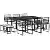 Image de vidaXL Ensemble de jardin 11 pièces avec coussins Noir Poly Rattan