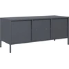 Image de vidaXL Armoire TV anthracite 101,5x39x43,5 cm Acier laminé à froid