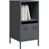 Image de vidaXL Sideboard Anthracite 35x39x73,5 cm Acier laminé à froid