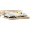 Image de vidaXL Lit de jour extensible avec tiroirs sans matelas 90x190 cm
