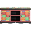 Image de vidaXL Armoire TV Multicolore 100 x 35 x 50 cm Bois massif Mango