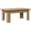 Image de vidaXL Table basse Artisan-Chêne 100x60x42 cm Bois composite