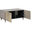 Image de vidaXL Table basse Gris 80 x 50 x 40 cm Bois massif Mango