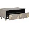 Image de vidaXL Table basse à tiroirs Gris 80 x 54 x 40 cm Bois massif de manguier