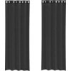 Image de vidaXL Voile Rideaux avec oeillets 2 pcs. noir 140x260 cm