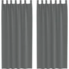 Image de vidaXL Voile Rideaux avec passants 2 pcs. Gris foncé 140x245 cm